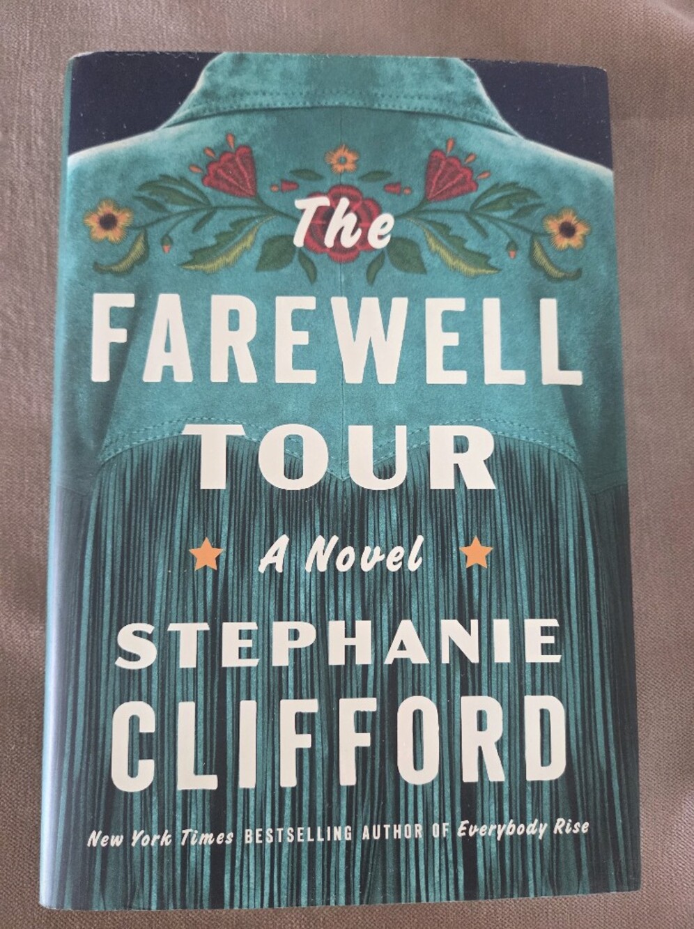 The Fairwell Tour a novel by Stephenie Clifford. Excellent read